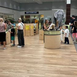Objevte tajemství zvířat na interaktivní výstavě v Plzni