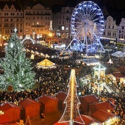 Plzeň rozsvítila vánoční strom a oslavila 100 let tradice stromků