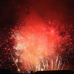 Plzeň ruší ohňostroj kvůli včelám, nahradí ho videomapping