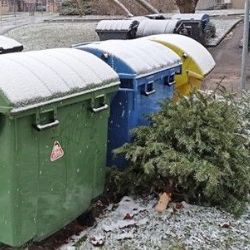 Svoz stromků v Plzni zahájen, bude probíhat celý leden