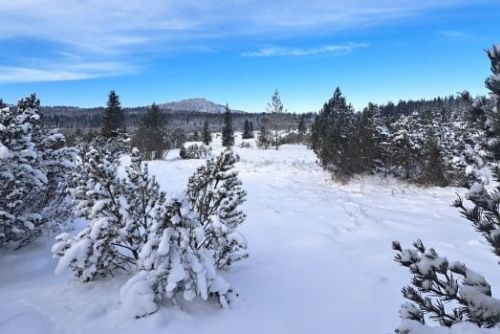 obrázek:Mrazy a čerstvý sníh rozjíždí lyžařskou sezónu naplno