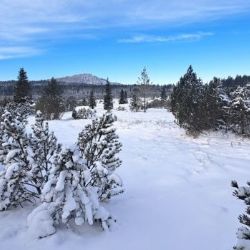 Mrazy a čerstvý sníh rozjíždí lyžařskou sezónu naplno