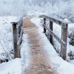 Na Šumavě trvají extrémní mrazy až -30 °C, horská služba varuje turisty