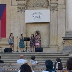 Plzeň opanovala Prahu: Den plzeňské kultury v Senátu přilákal stovky návštěvníků