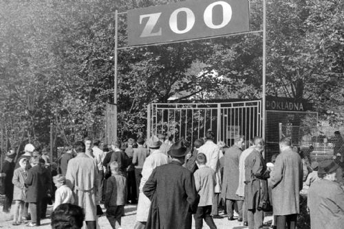 obrázek:ZOO slaví 100 let, příběh party nadšenců až po světový biopark