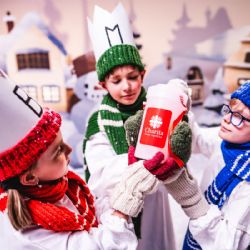 V ulicích se objevuje Tříkrálová sbírka, většina pomoci zůstává na Plzeňsku