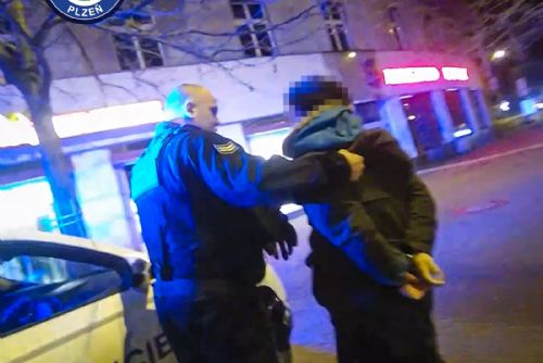 obrázek:Vypršel mu kód k WC, skončil v poutech