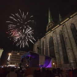 Města v kraji ruší novoroční ohňostroje, klid by uvítala zvířata