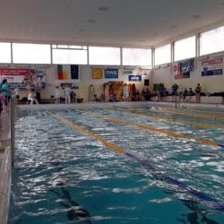 Čtrnáct medailí pro plavkyně a plavce SK Radbuza Plzeň 