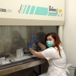 Infekční klinika FN Plzeň používá novou léčebnou metodu - darování stolice