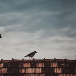 Ve třetí vlně kotlíkových dotací rozdělí Plzeňský kraj 230 milionů