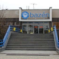 Plzeň hostí od čtvrtka do neděle českou plaveckou elitu