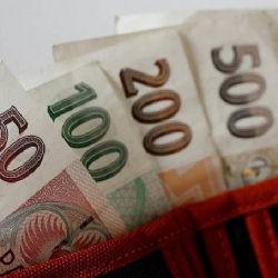 Devadesátileté známé v Plané ukradla doma přes 20 tisíc
