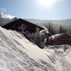 Dívky na Chodsku věřily, že štěkot psa na Štědrý den přiláká ženicha