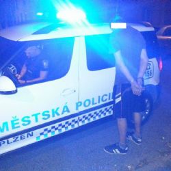 Strážníci městské policie chytili v noci v Plzni zlodějíčka jízdního kola 