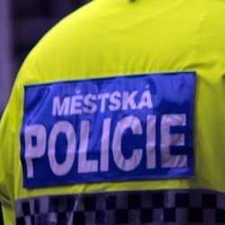 Jeli na třídní sraz, strážníci jim opravili porouchané auto