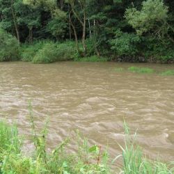 Vydatné deště na Šumavě zvedly hladiny řek, vítr navíc sundaval střechy