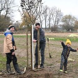 Herci z Divadla J. K. Tyla vysadili symbolickou alej na počest Pavla Švandy