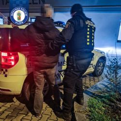 Strážníci v Plzni dopadli dvě osoby hledané celostátně