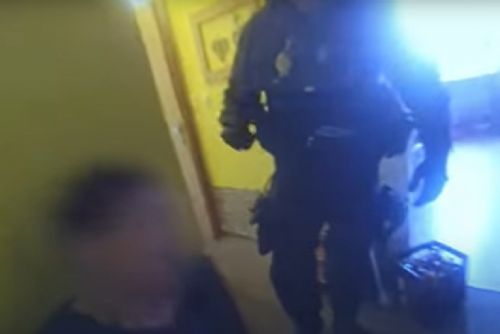 obrázek:Strážníci v Plzni zachránili seniorku zaklíněnou v komoře