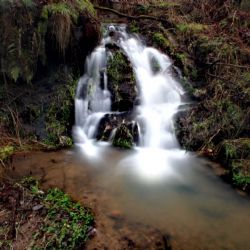 Tip na výlet - Lužnické kaskády, přírodní divadlo vodopádů