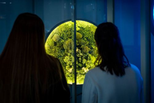 obrázek:Zelená Techmania startuje environmentální program s tématem mokřady