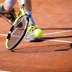 Plzeň podpoří sportovní akce, talenty i organizace