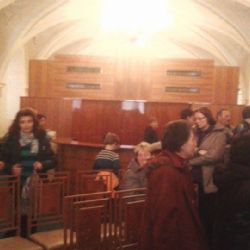 V Senátu se Plzeň představí jako kolébka loutkářsví