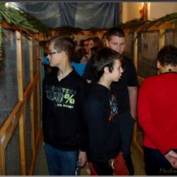 VE STŘÍBŘE VYSTAVOVALI EXTOTY