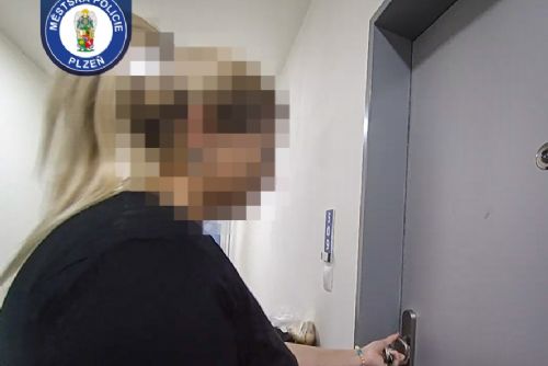 obrázek:Odskočila si od plotny bez klíčů