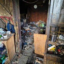 Štěňata z hororu ve Starém Sedlišti hledají nový domov