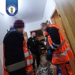 Tísňové tlačítko na mobilu zachránilo seniorku na Lochotíně