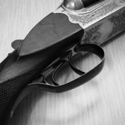 Tragédie na honu - myslivec zastřelen kolegou na Tachovsku