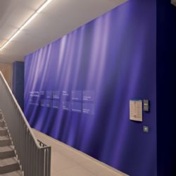 Digitální stěny? Na ZČU je to realita, Sutnarka s FAV spolupracují na unikátním projektu