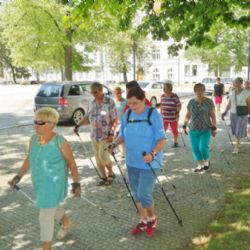 Město Plzeň vyzývá: Udělejte 10 000 kroků pro své zdraví