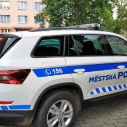 V Domažlicích chybějí strážníci, město ruší noční služby
