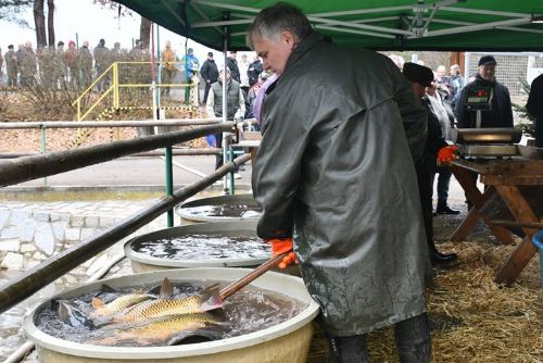 obrázek:Prodej ryb zahájen - kapr a další ryby za loňské ceny
