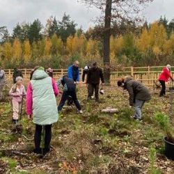 Zábělský Den pro les - 150 dobrovolníků zasadilo 4 000 borovic